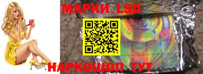 прущие грибы Ставрополь